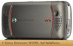 Sony Ericsson W395